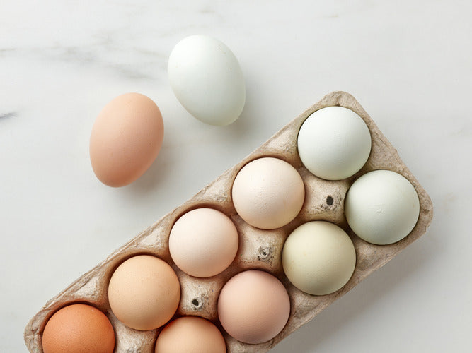 Eggs